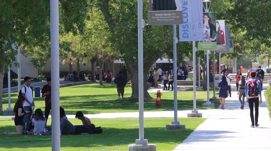 AVC campus